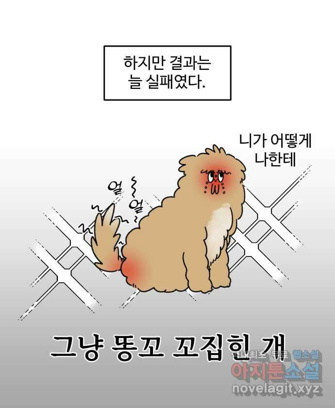 강아지는 멍멍하고 짖지 않아! 3화 - 항문낭 17