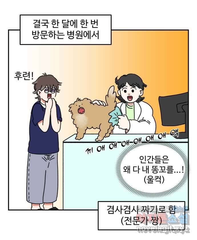 강아지는 멍멍하고 짖지 않아! 3화 - 항문낭 18