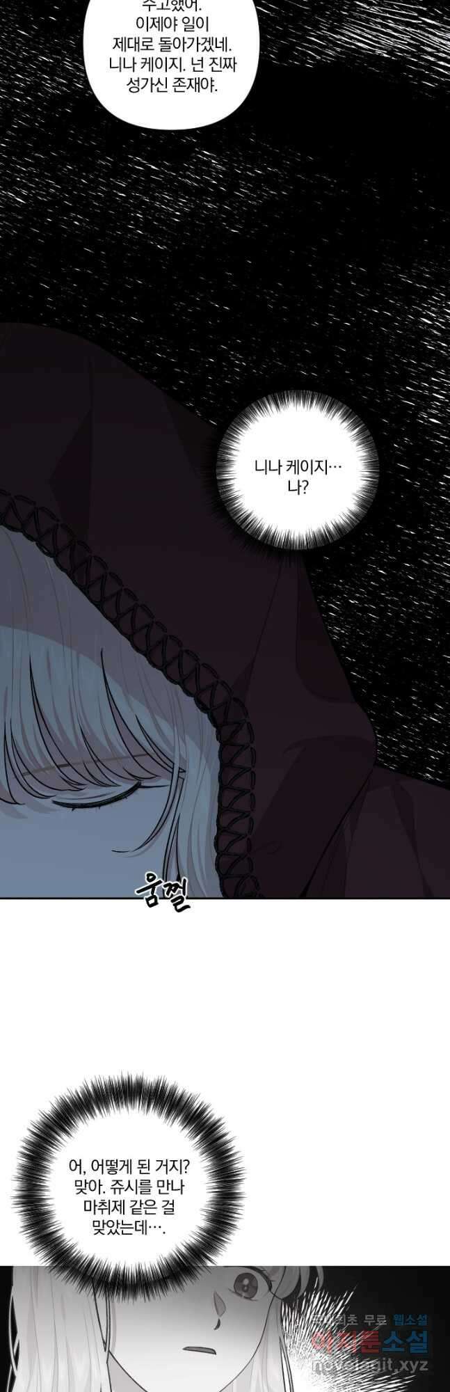 TL 소설 속 시녀가 되었습니다 87화 32