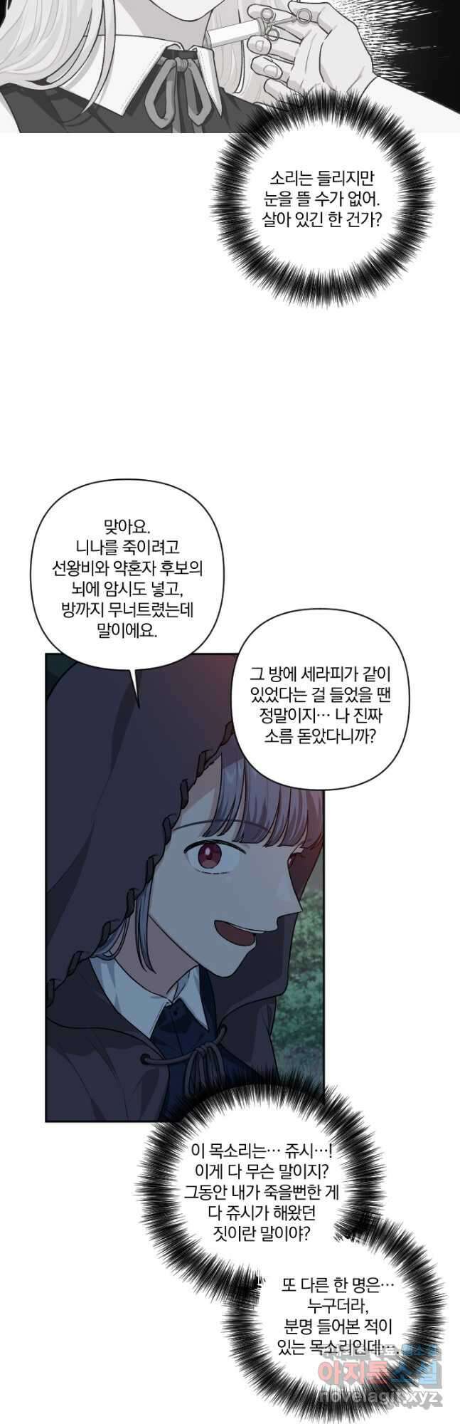 TL 소설 속 시녀가 되었습니다 87화 33