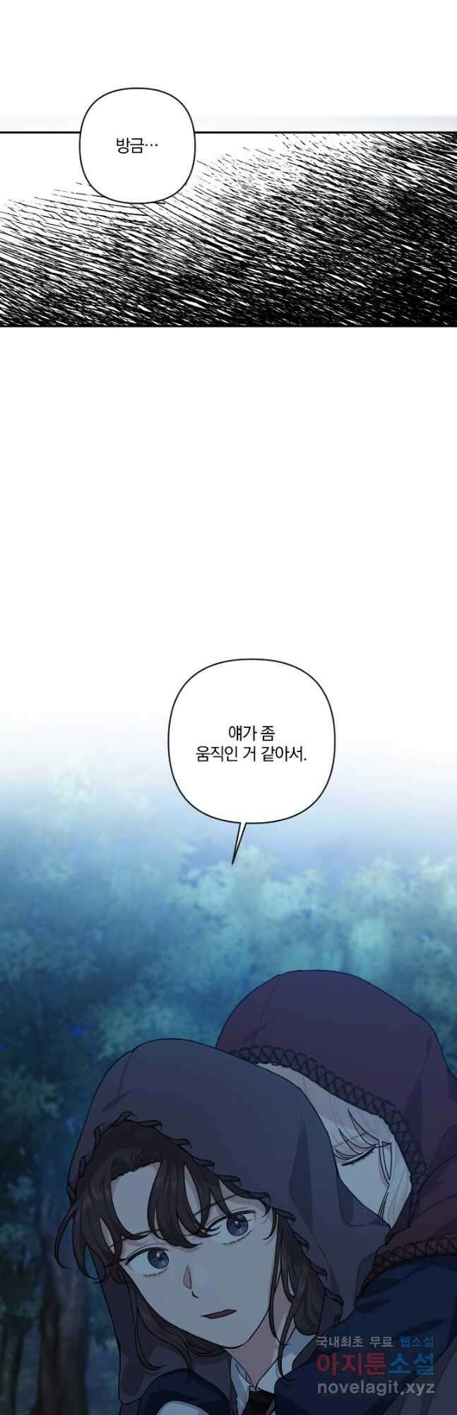 TL 소설 속 시녀가 되었습니다 87화 39