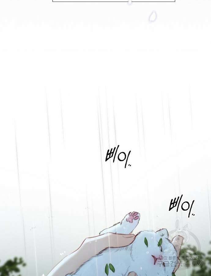 세레나 41화 11