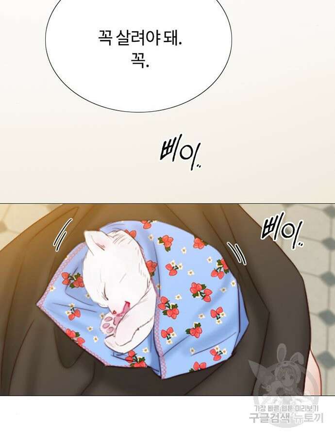 세레나 41화 22