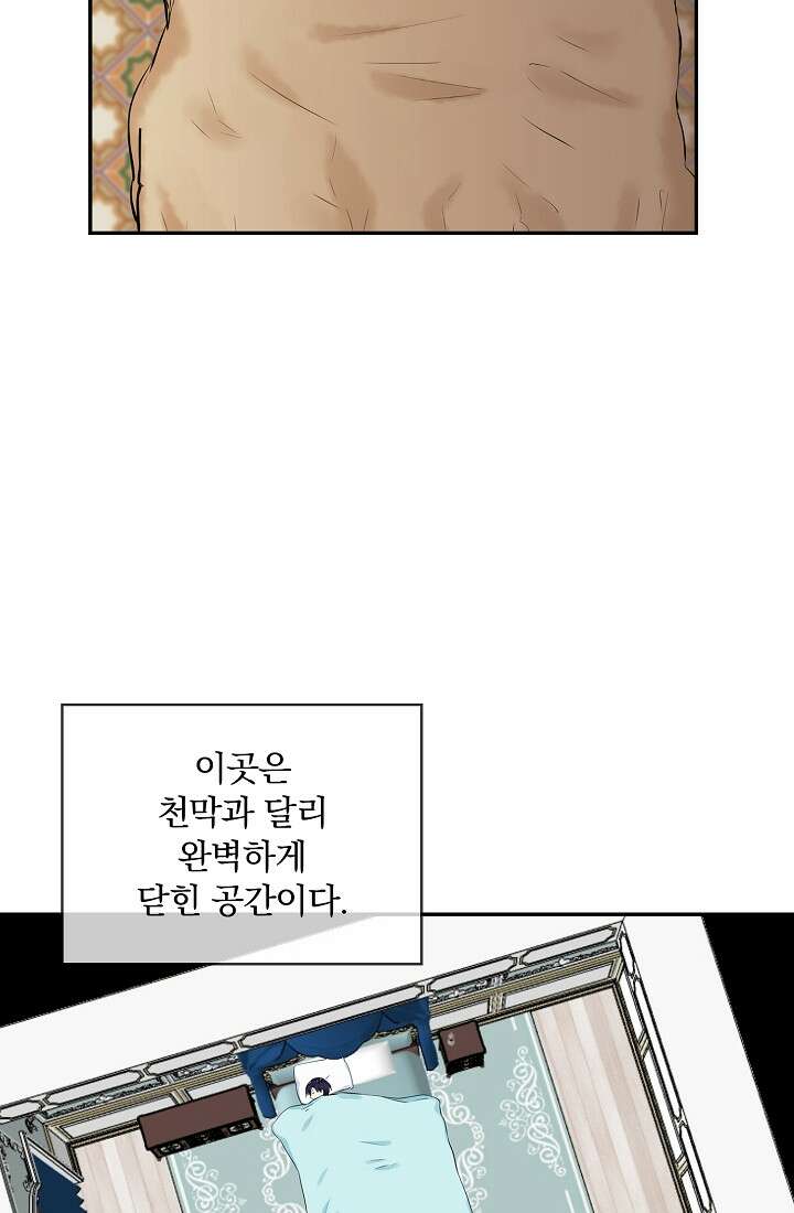 눌리타스 : 절반의 백작 영애 95화 5