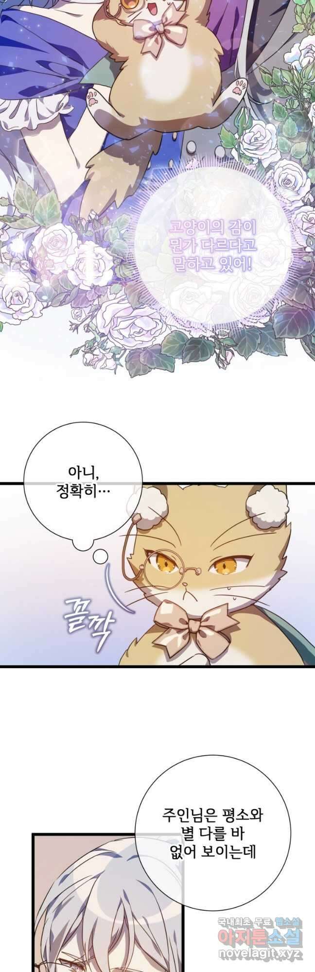 미운 노새 이야기 115화 2