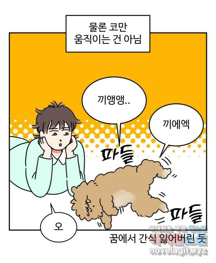 강아지는 멍멍하고 짖지 않아! 9화 - 꿈꾸는 강아지 10