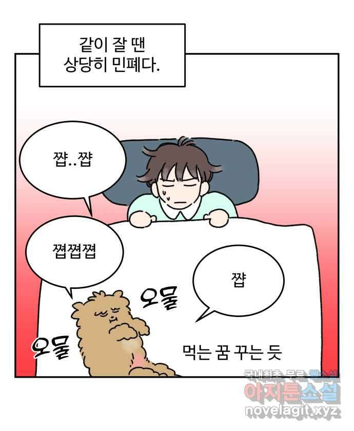 강아지는 멍멍하고 짖지 않아! 9화 - 꿈꾸는 강아지 15