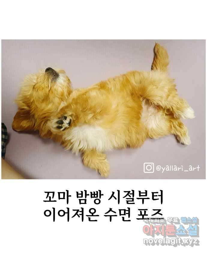 강아지는 멍멍하고 짖지 않아! 9화 - 꿈꾸는 강아지 23