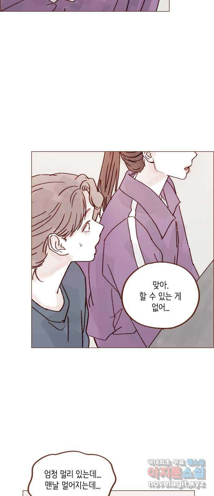 홍시는 날 좋아해! 251화 : 어차피 정리하기로 했어 18