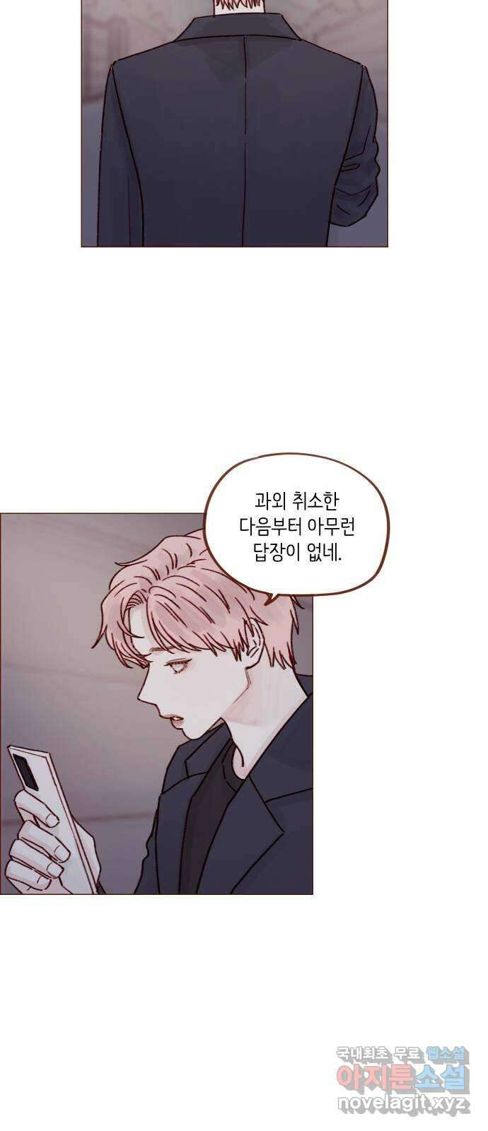 홍시는 날 좋아해! 251화 : 어차피 정리하기로 했어 21