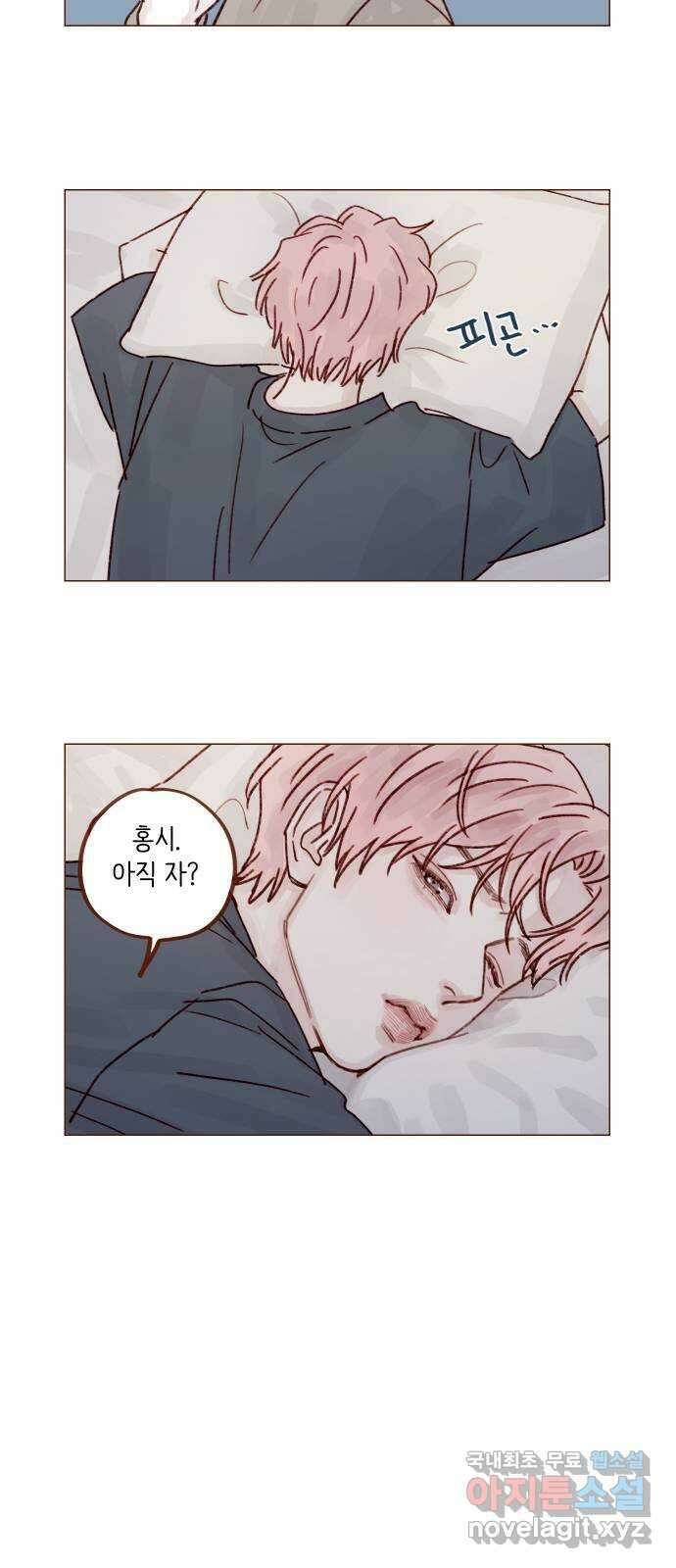 홍시는 날 좋아해! 251화 : 어차피 정리하기로 했어 35