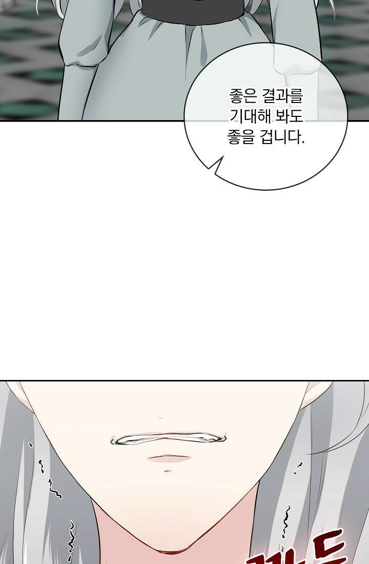눌리타스 : 절반의 백작 영애 97화 13