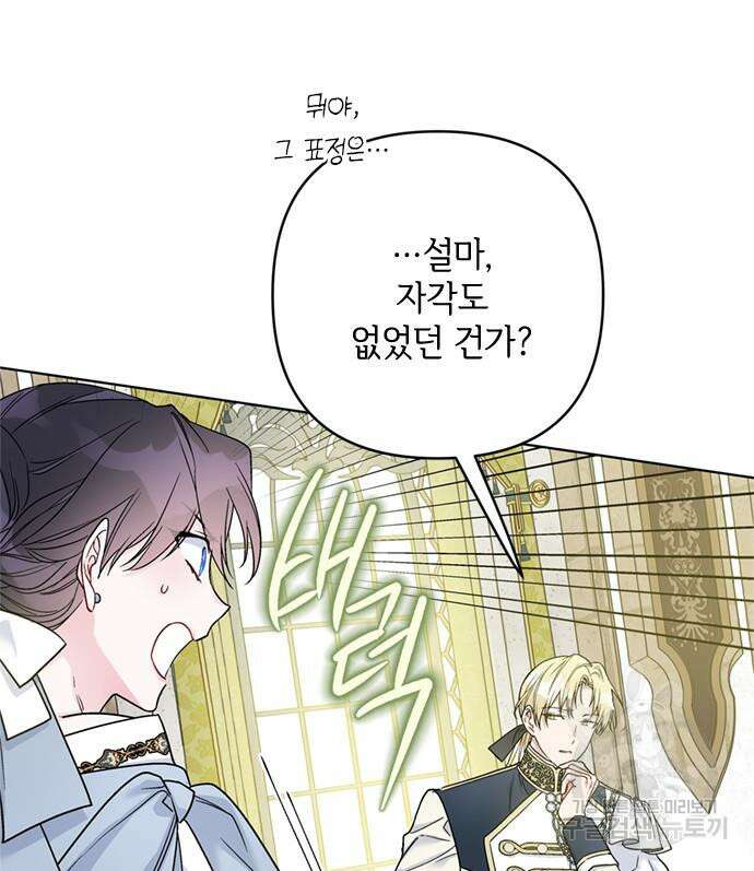그 기사가 레이디로 사는 법 99화 113