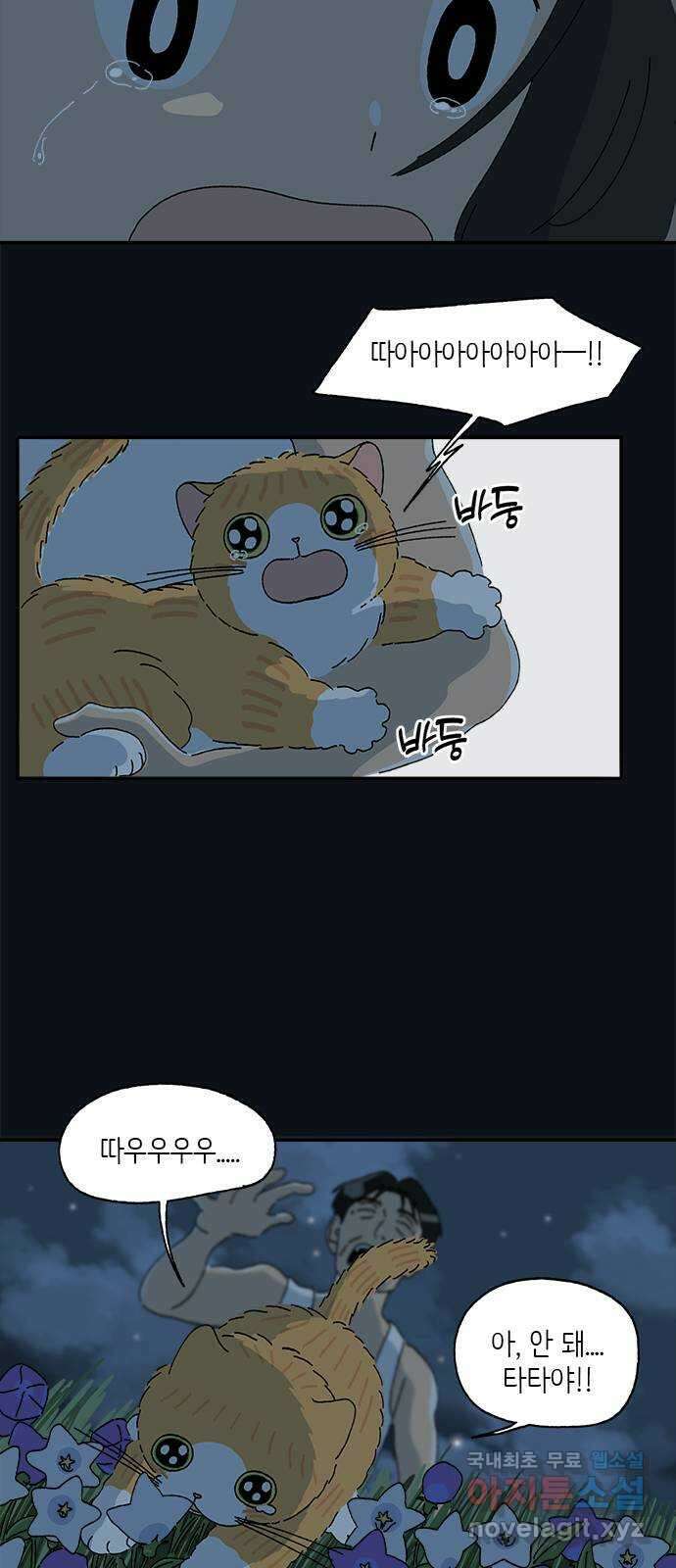 고양이 타타 31화 7