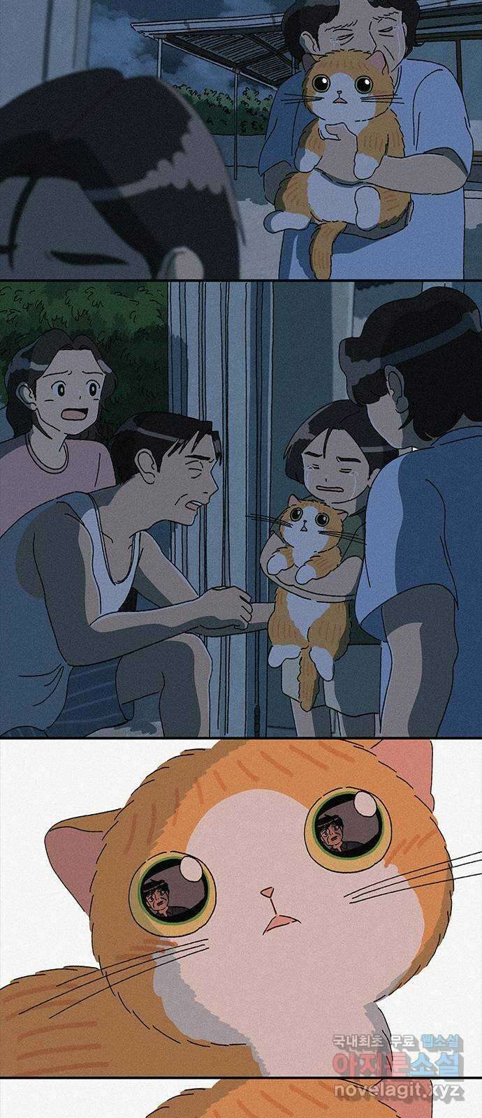 고양이 타타 31화 31