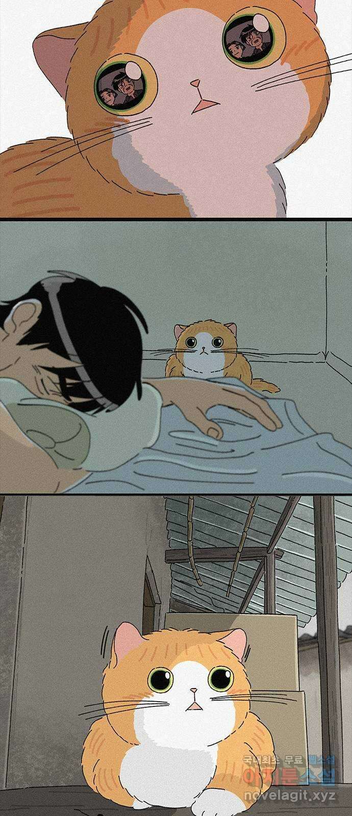 고양이 타타 31화 32