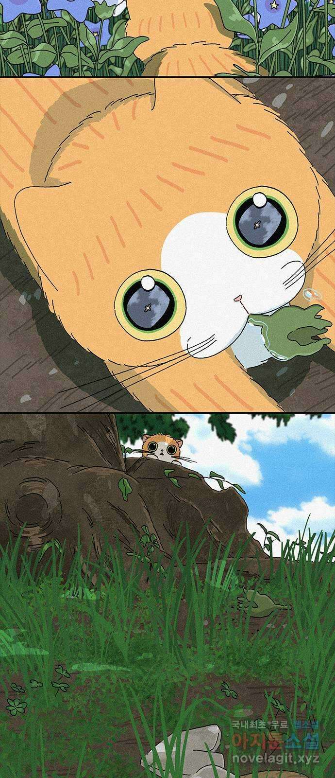 고양이 타타 31화 40