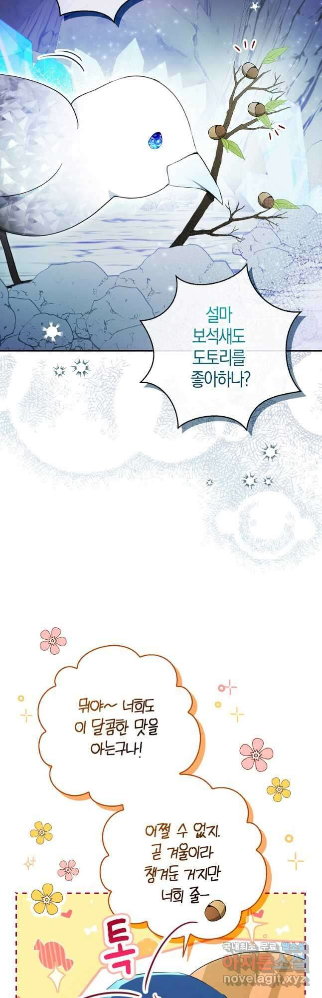아기 다람쥐가 다 잘해요 51화 5