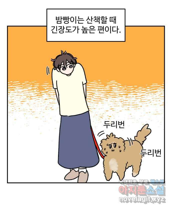 강아지는 멍멍하고 짖지 않아! 17화 - 고양이 사천왕 1