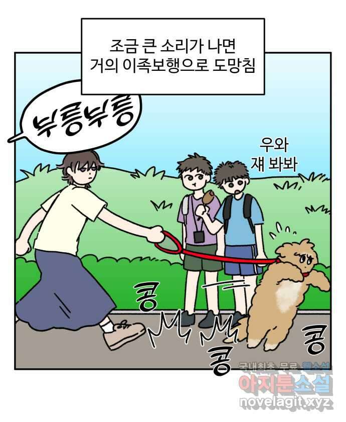 강아지는 멍멍하고 짖지 않아! 17화 - 고양이 사천왕 2