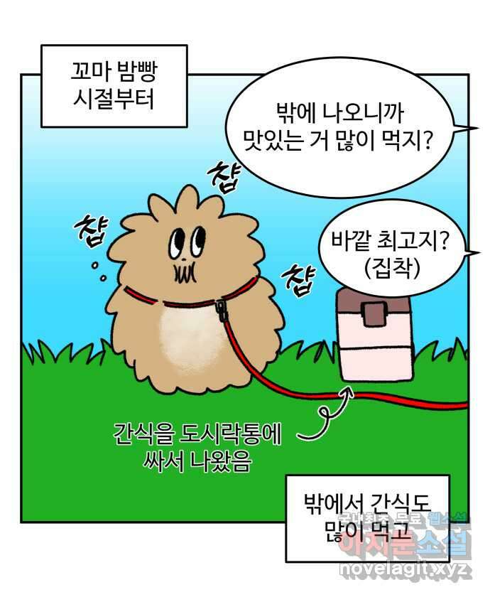 강아지는 멍멍하고 짖지 않아! 17화 - 고양이 사천왕 3