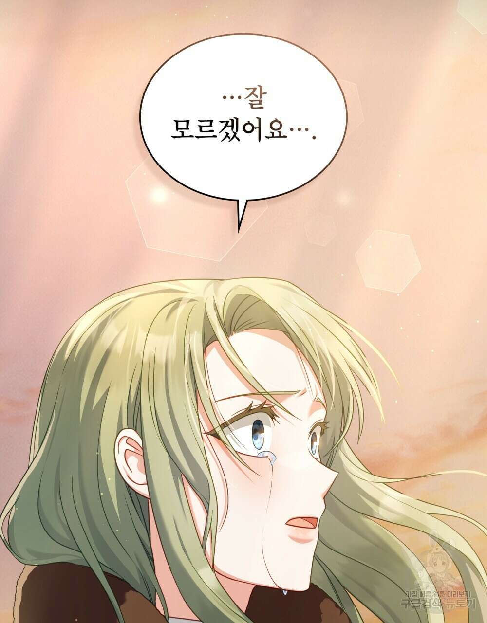 합법적 악역의 사정 51화 71