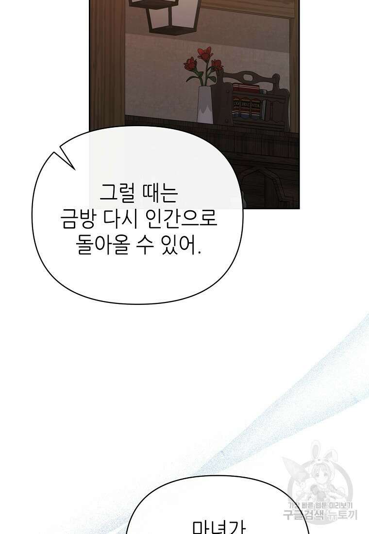 마녀의 딸이 남주의 저주를 풀면 11화 8