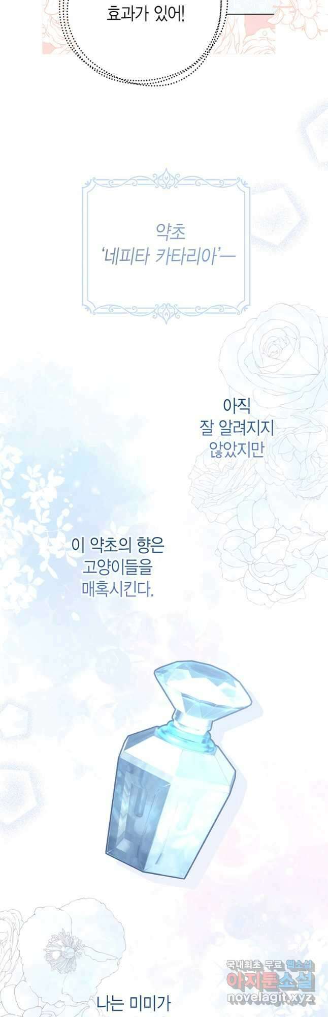 그 남자는 제 친오빠인데요, 공작님 57화 7