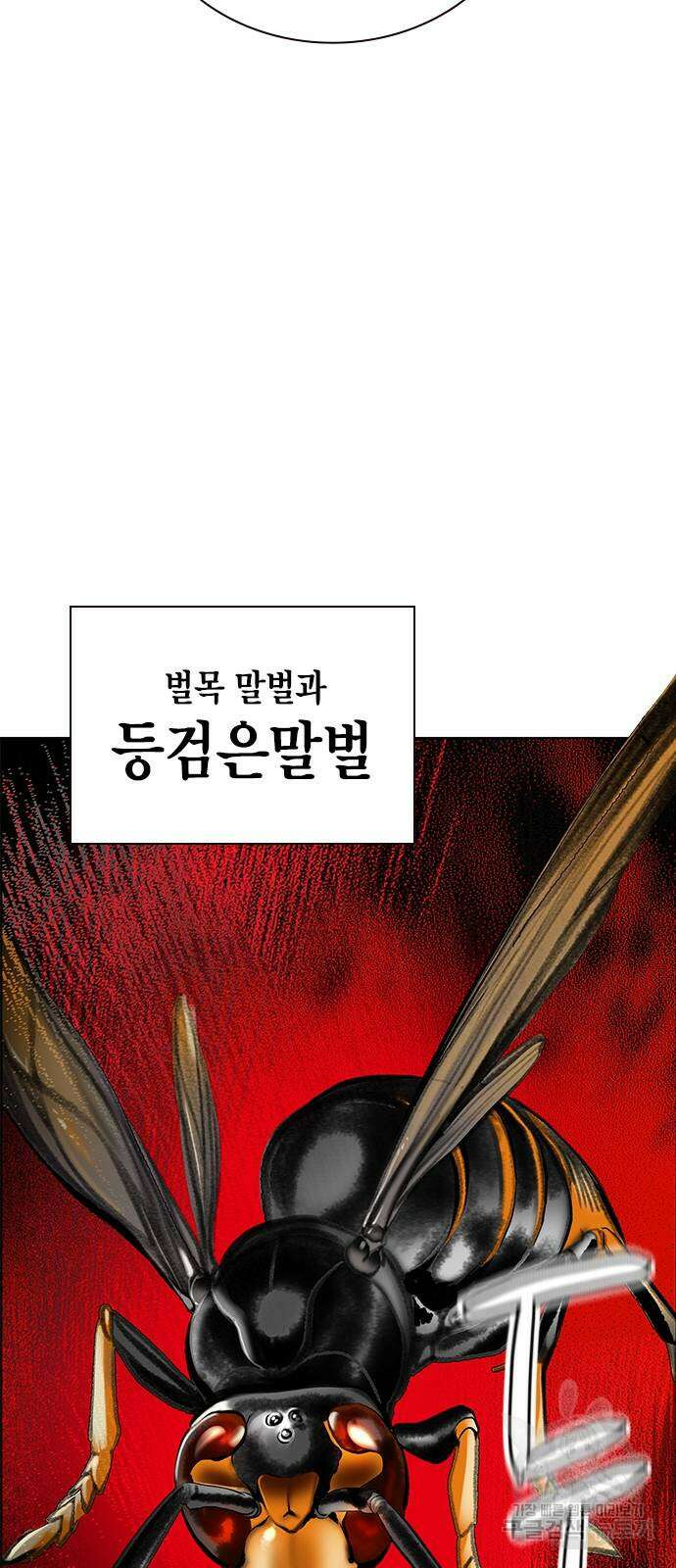 정글쥬스 시즌2 12화 22