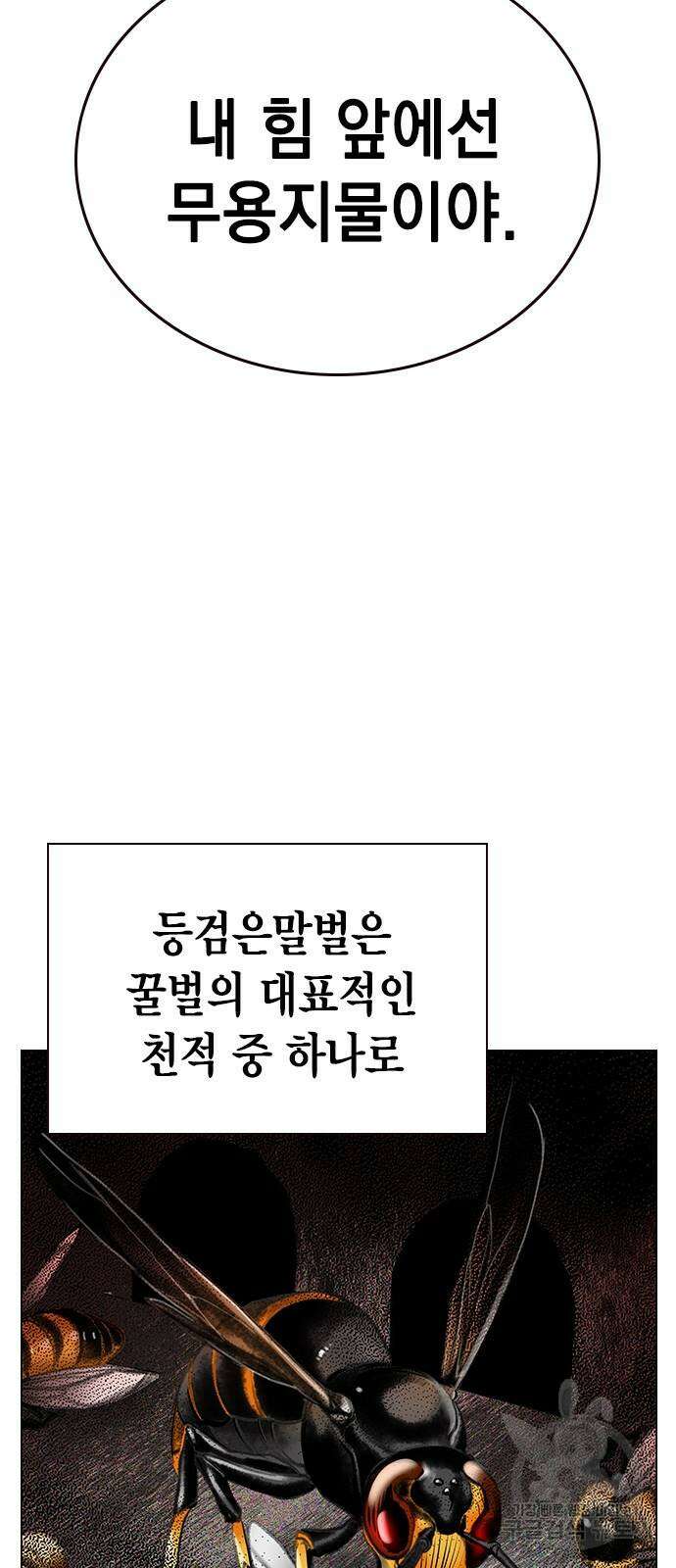 정글쥬스 시즌2 12화 24