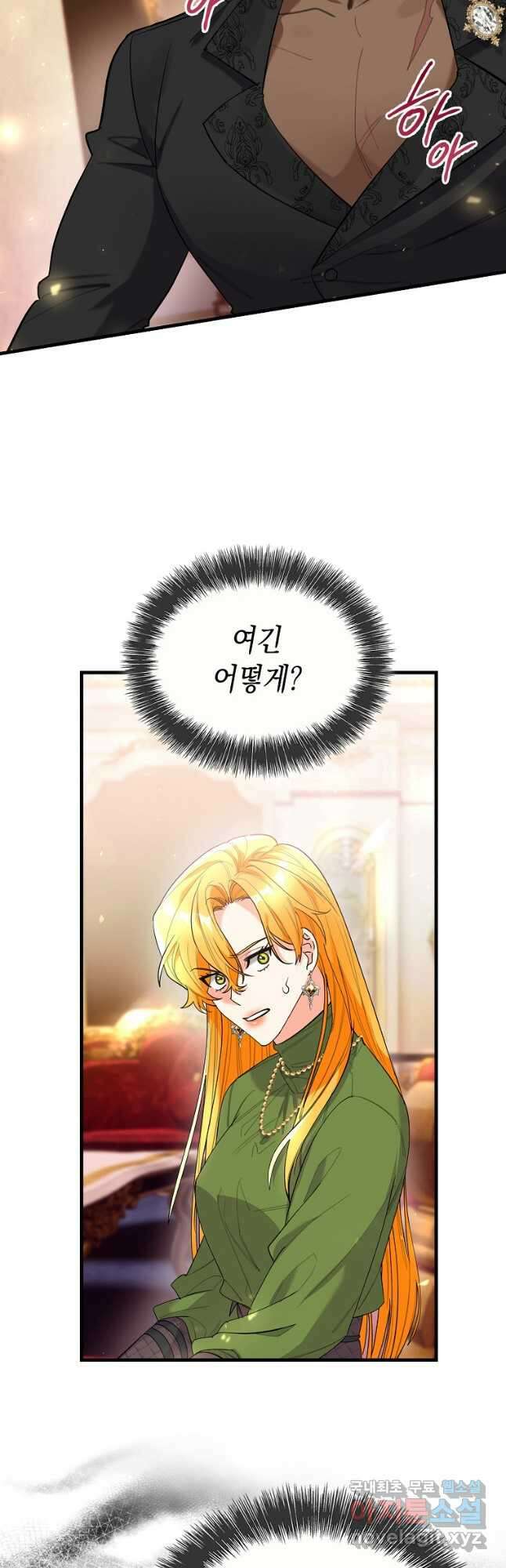 대공님의 애완 수인 47화 6