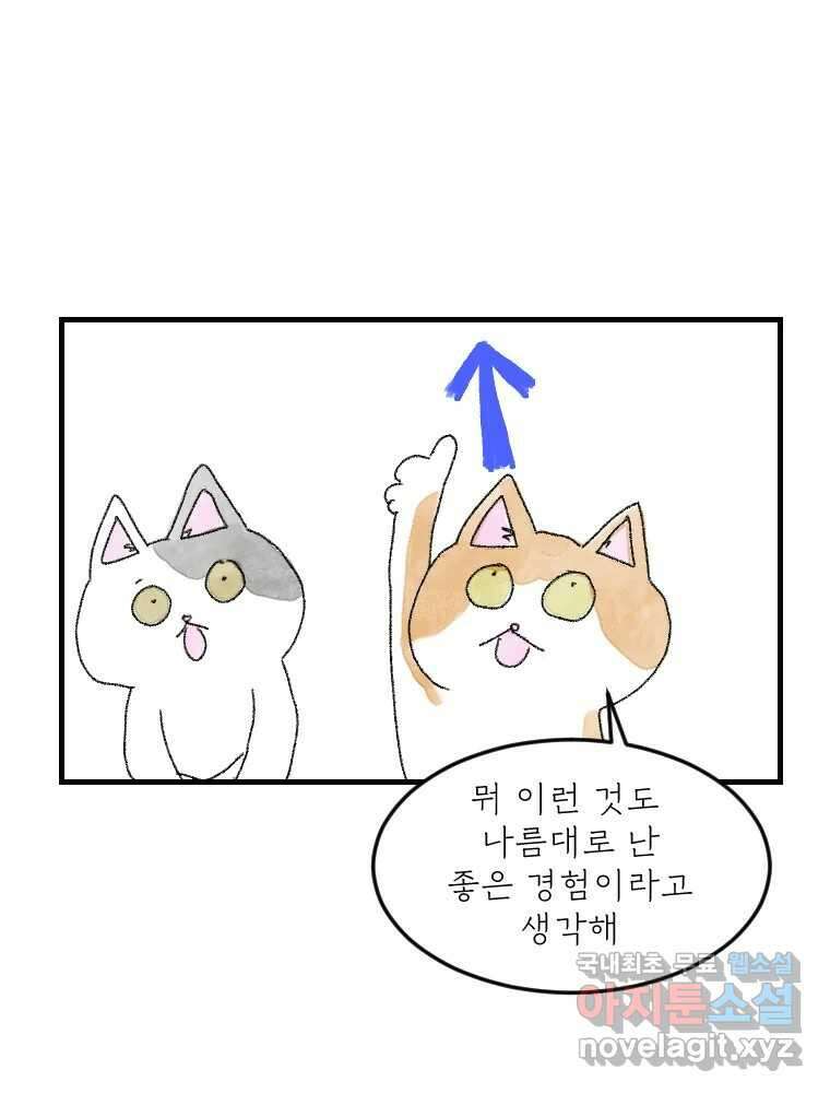 고기자의 힘드러운 기자생활 18화 돌고 돌고 돌아서 26