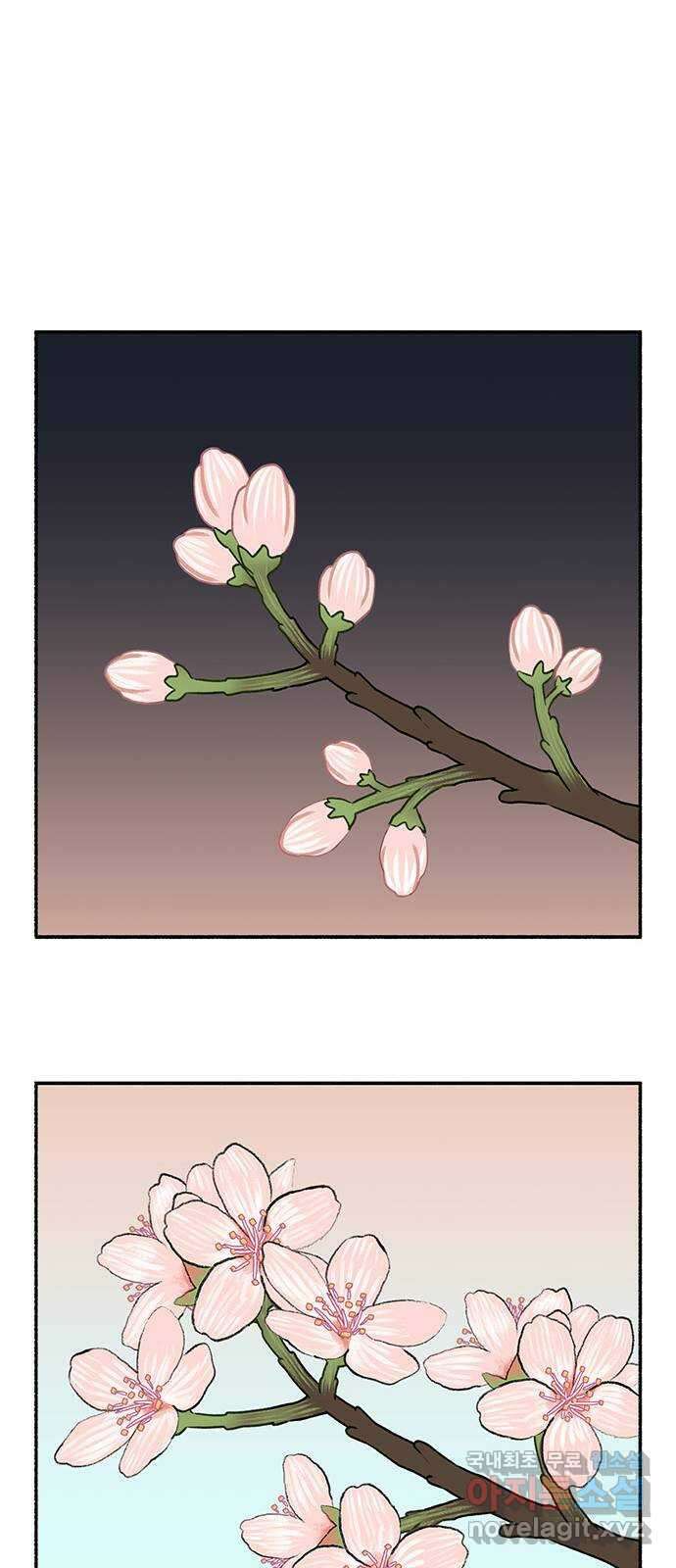 노인의 꿈 31화 누구의 엄마, 누구의 할머니도 아닌 내 이름 45