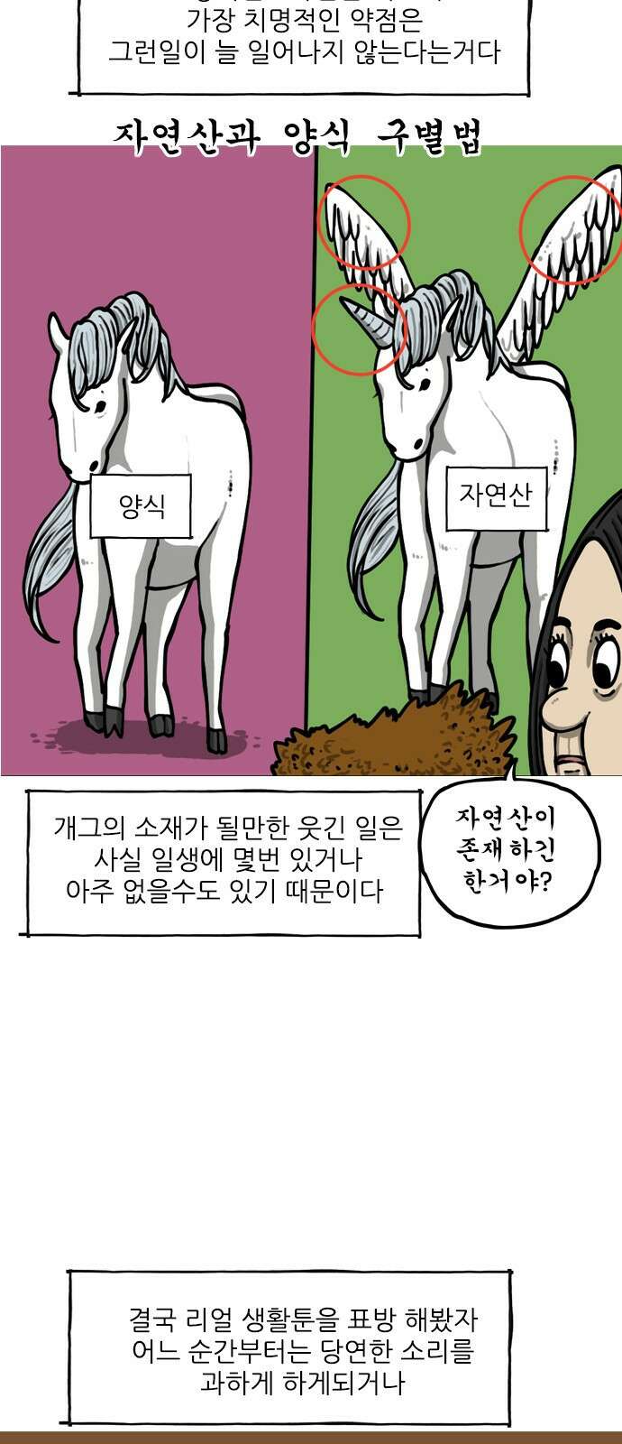 너는 그냥 개그만화나 그려라 6화 자연산 생활툰 11