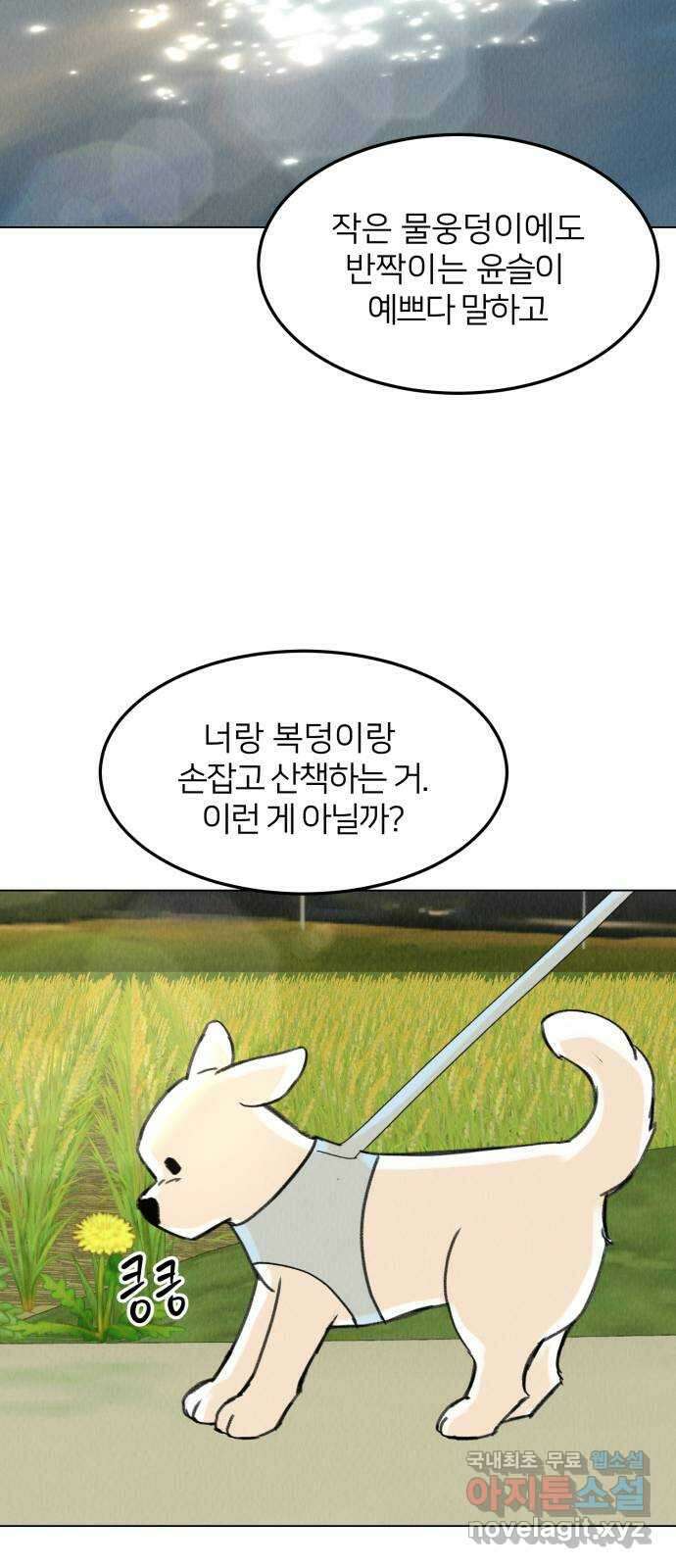 우리 집 고양이 보고 갈래? 37화 3
