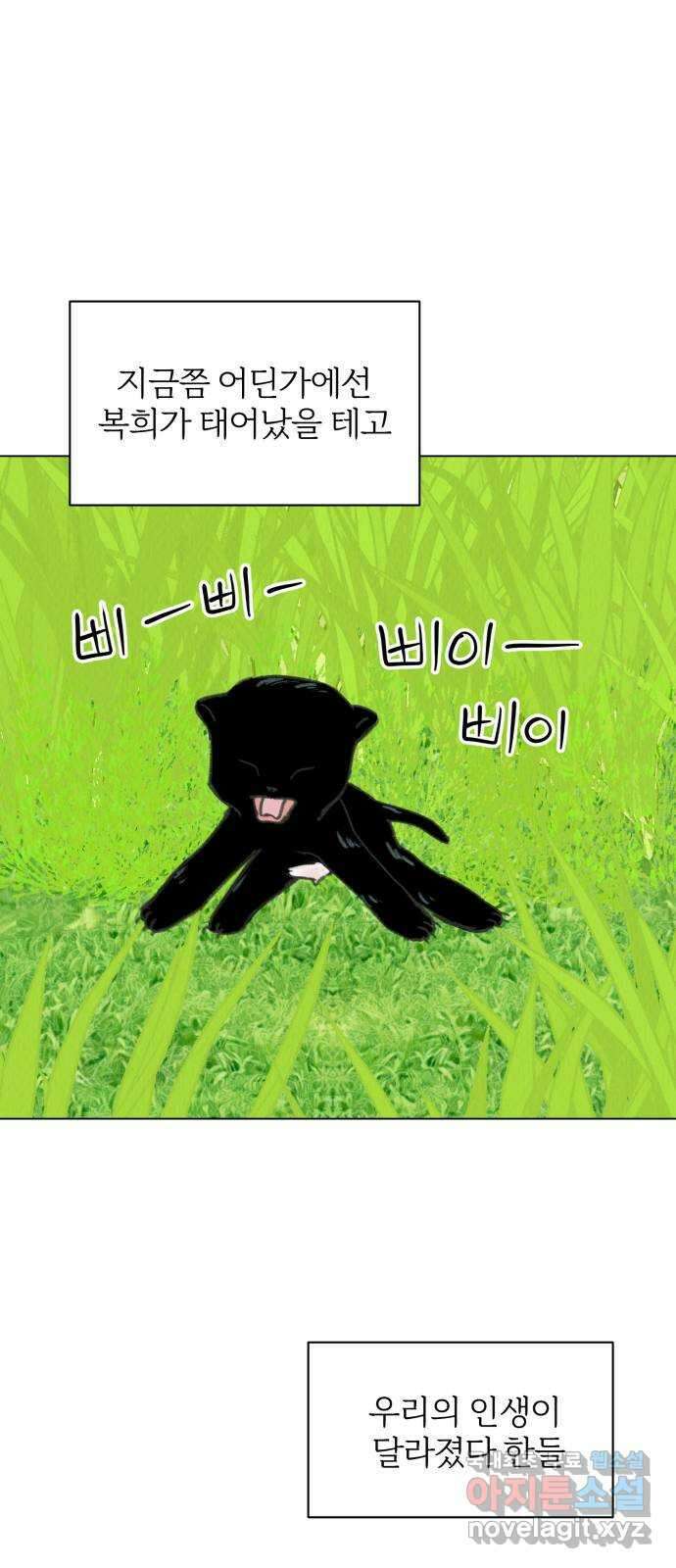 우리 집 고양이 보고 갈래? 37화 12