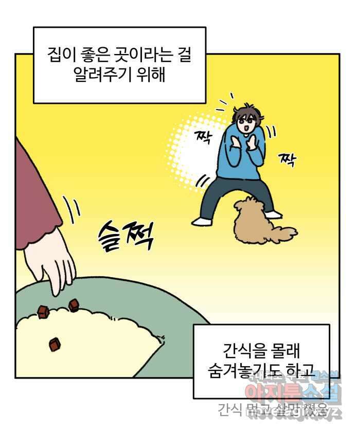 강아지는 멍멍하고 짖지 않아! 32화 - 제발 써줘 2 12