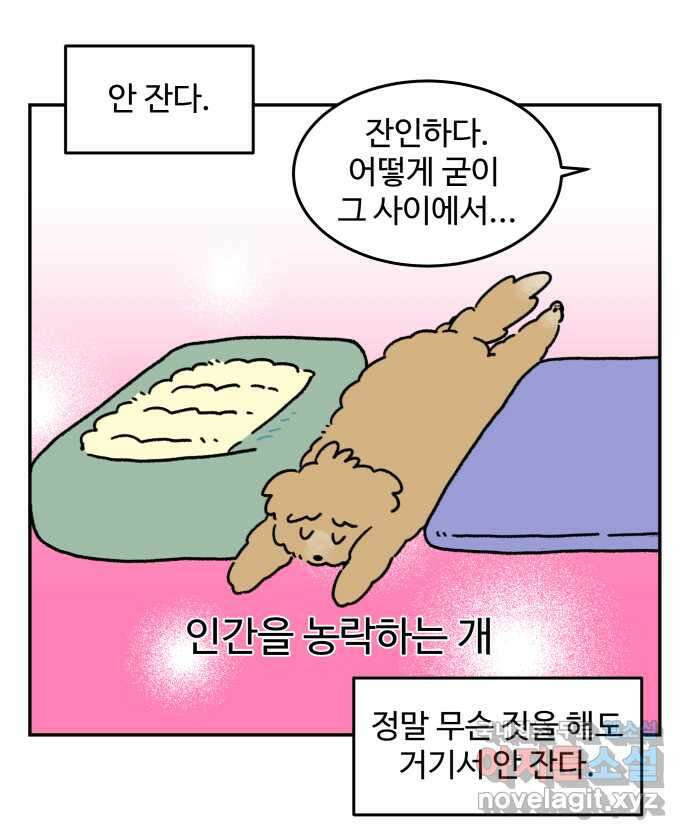 강아지는 멍멍하고 짖지 않아! 32화 - 제발 써줘 2 14