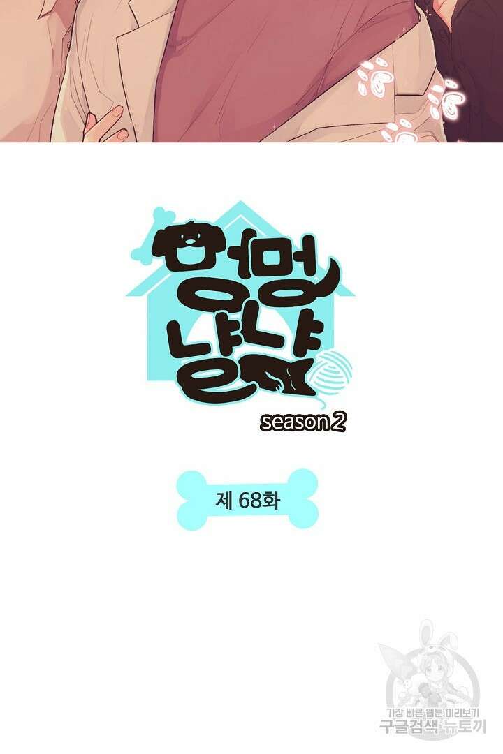 멍멍냥냥 68화 8