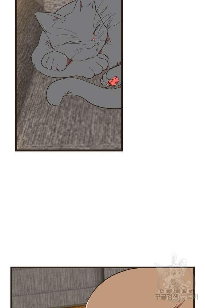 멍멍냥냥 75화 2