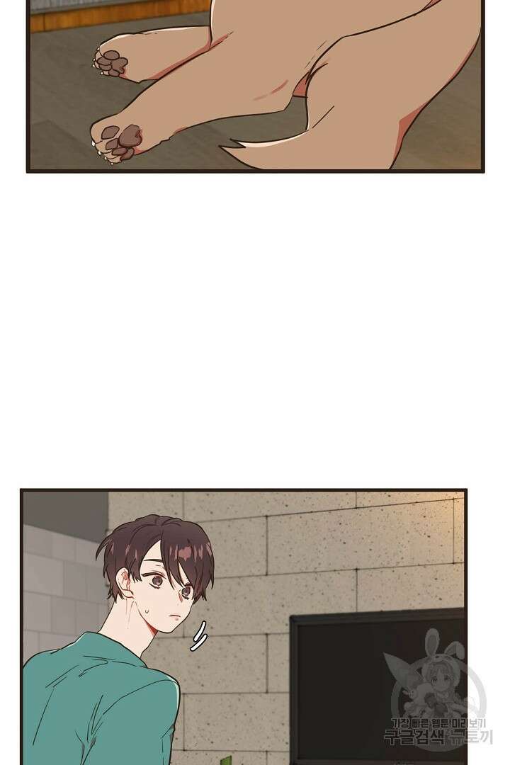 멍멍냥냥 75화 3