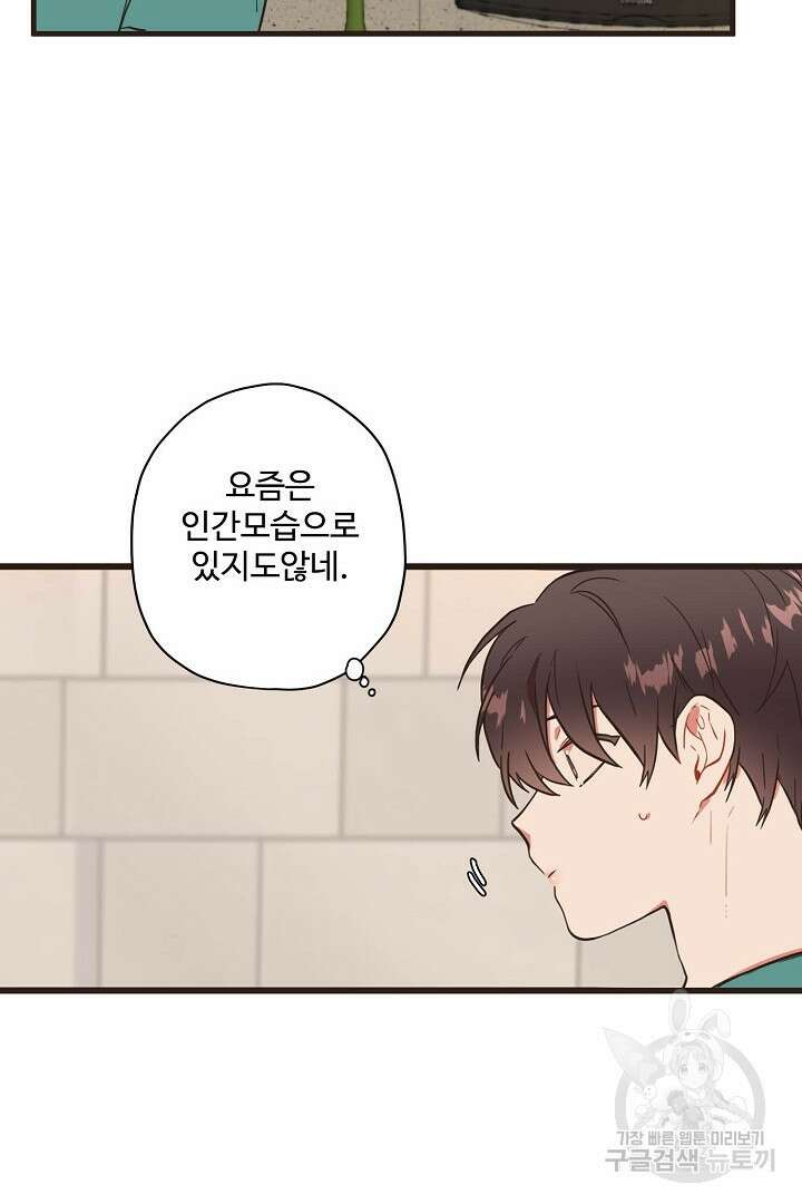멍멍냥냥 75화 4