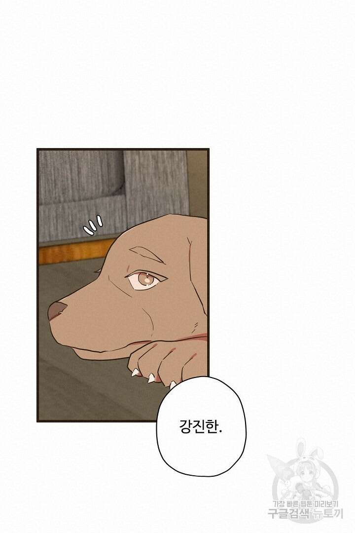 멍멍냥냥 75화 11