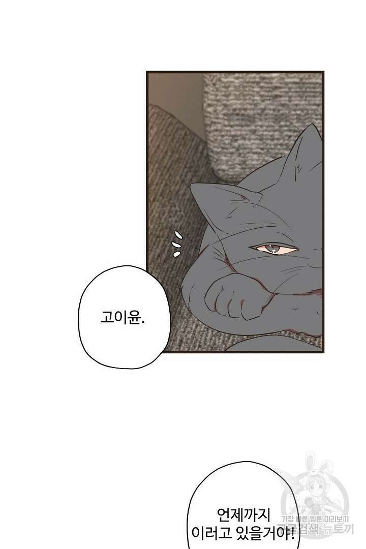 멍멍냥냥 75화 12