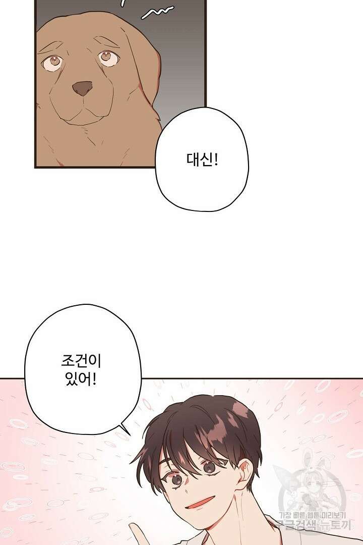 멍멍냥냥 75화 15