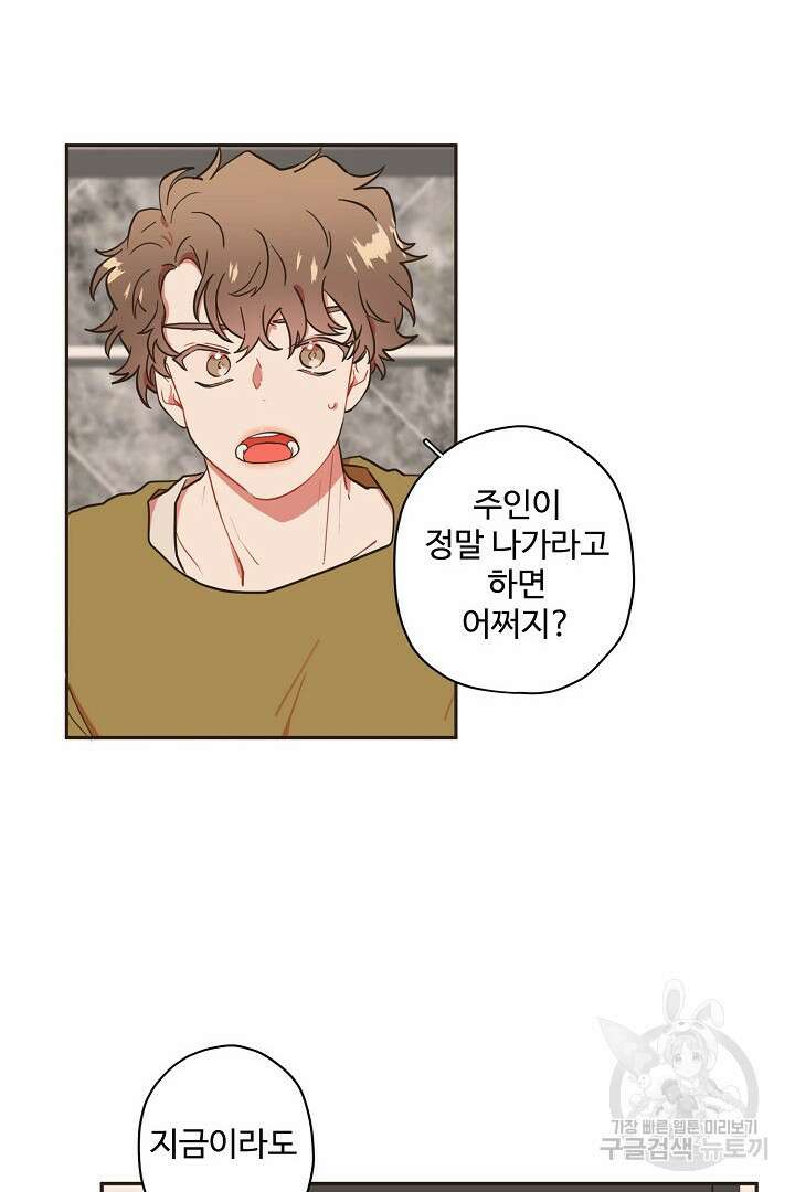 멍멍냥냥 75화 43
