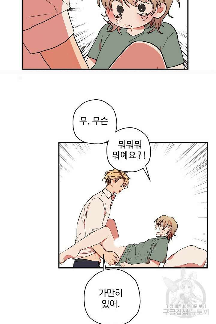멍멍냥냥 80화 18