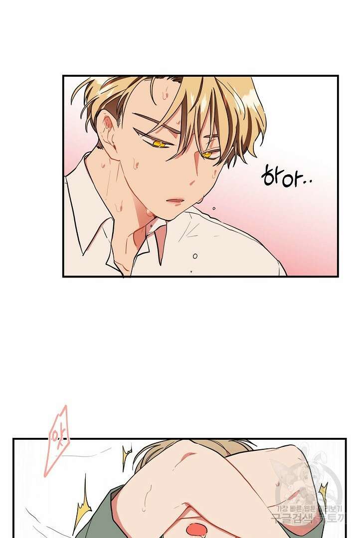 멍멍냥냥 80화 20