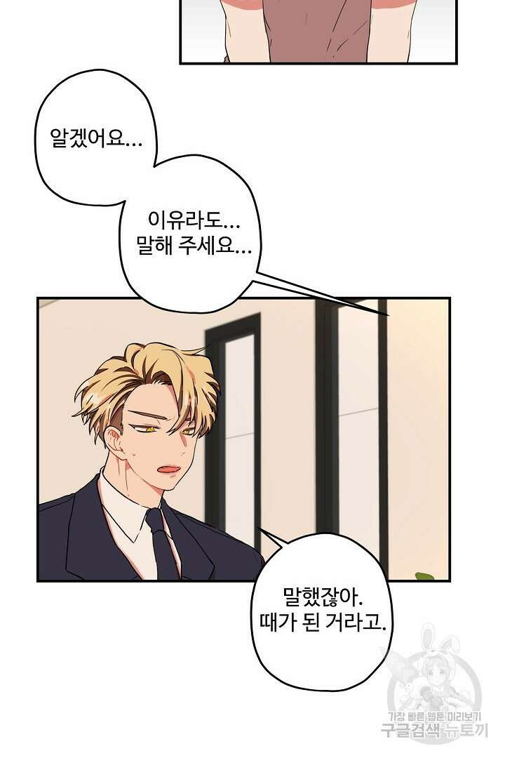 멍멍냥냥 80화 61