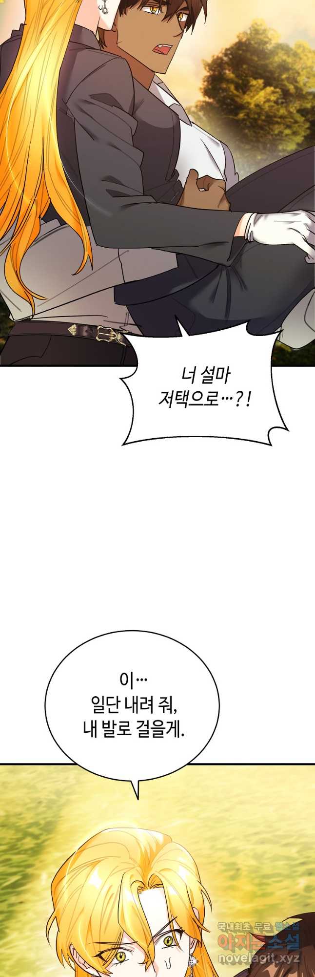 대공님의 애완 수인 51화 12